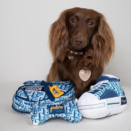 HAUTE DIGGITY DOG